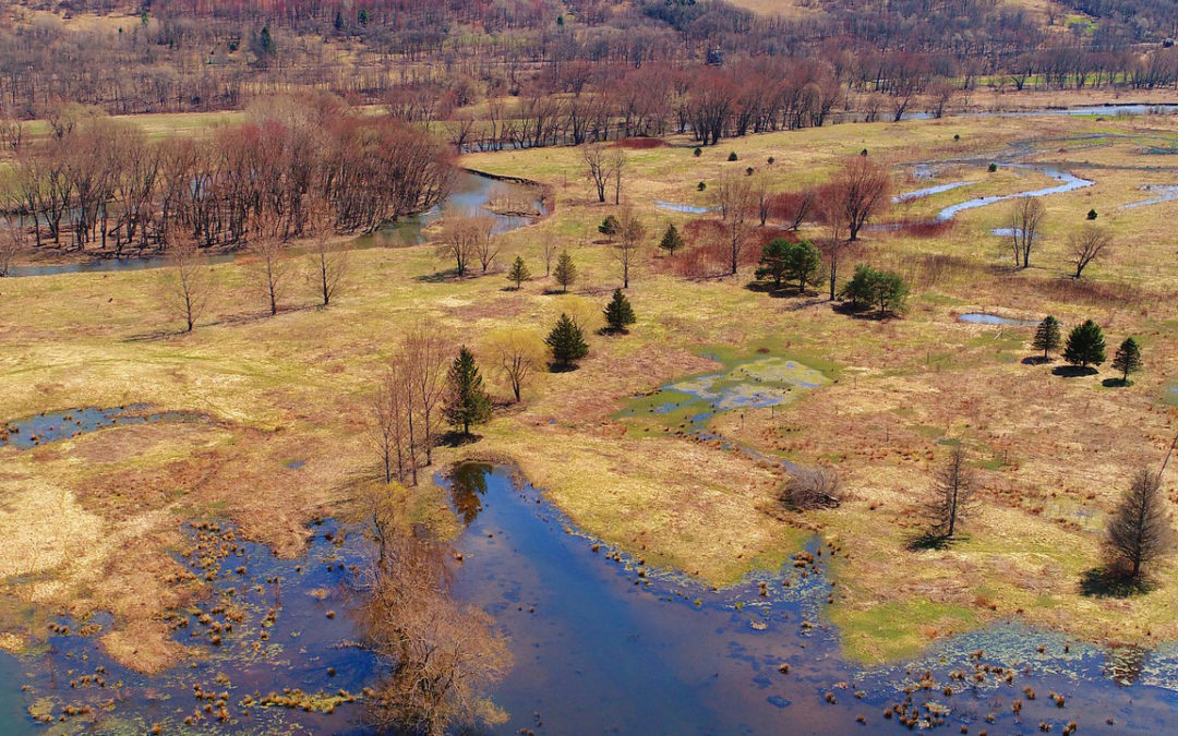 Onondaga Lake Open Space