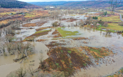 Nature’s Sponge: Floodplain Wetlands in Action