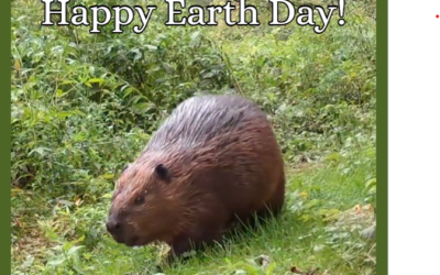 Happy Earth Day!