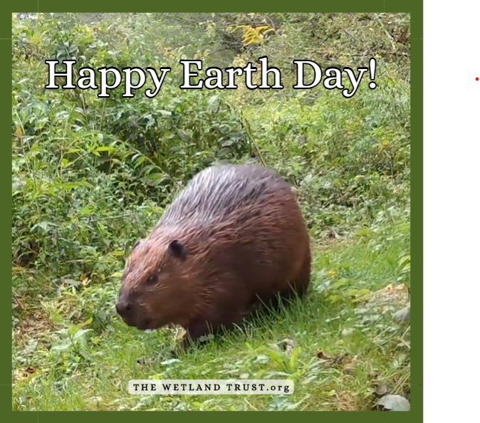 Happy Earth Day!